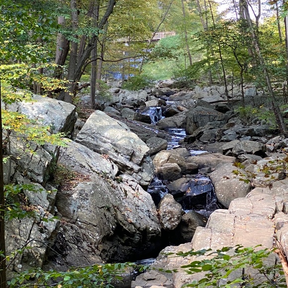 Meet your Posher, Jen - Picture 1 of 1